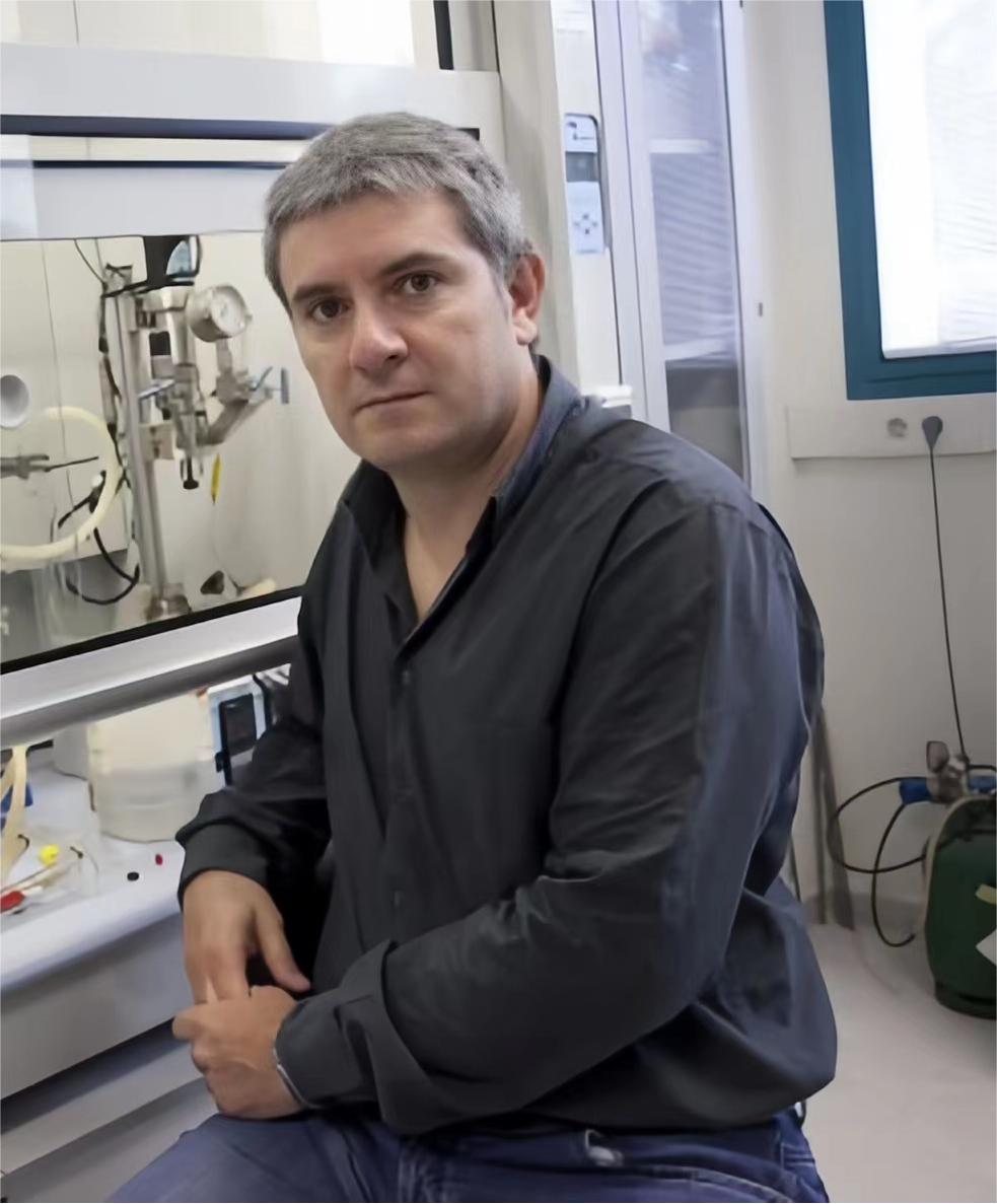 星空app官网创新论坛第一千五百一十九讲：  Smart N-Heterocyclic Carbene Ligands in  Catalysis