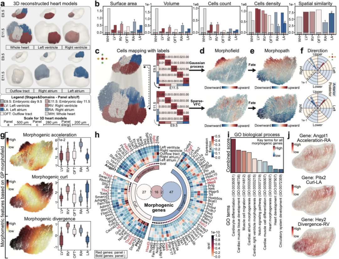 20241112164500992-96-29c5b.png 20241112164500992-96-29c5b.png