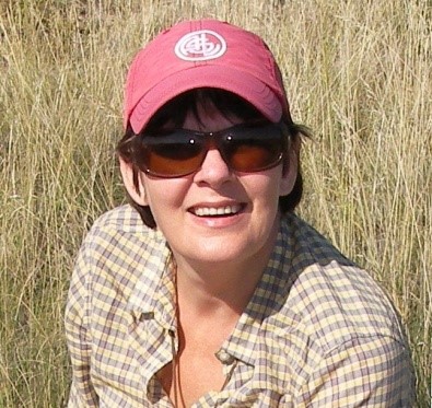 星空app官网创新论坛第一千五百四十四讲：Intra-plate oceanic island basalts:  retrospective and perspectives 