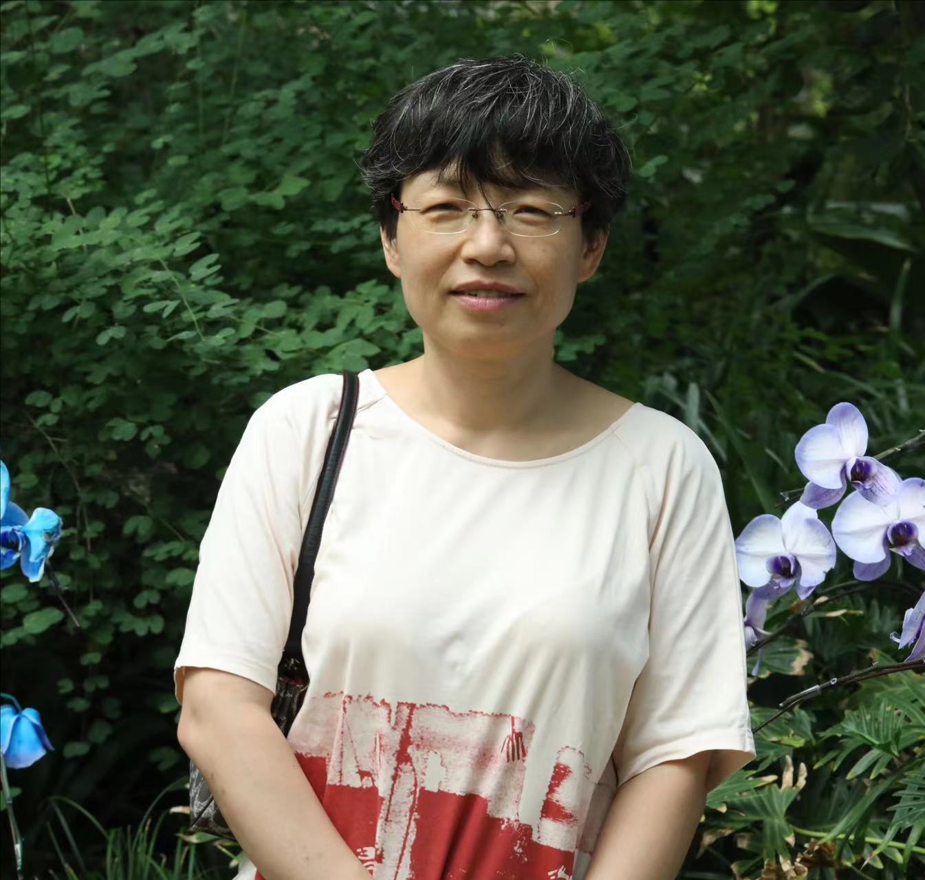  星空app官网创新论坛第一千七百六十五讲：题目1-层状岩体岩浆房冷却过程与钒钛磁铁矿床成因 题目2-辽东中生代岩浆岩壳幔相互作用的岩浆和成矿记录