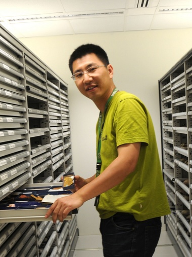 星空app官网创新论坛第一千八百零一讲：虫鸣凤舞伴花香：现代陆地生态系统的起源