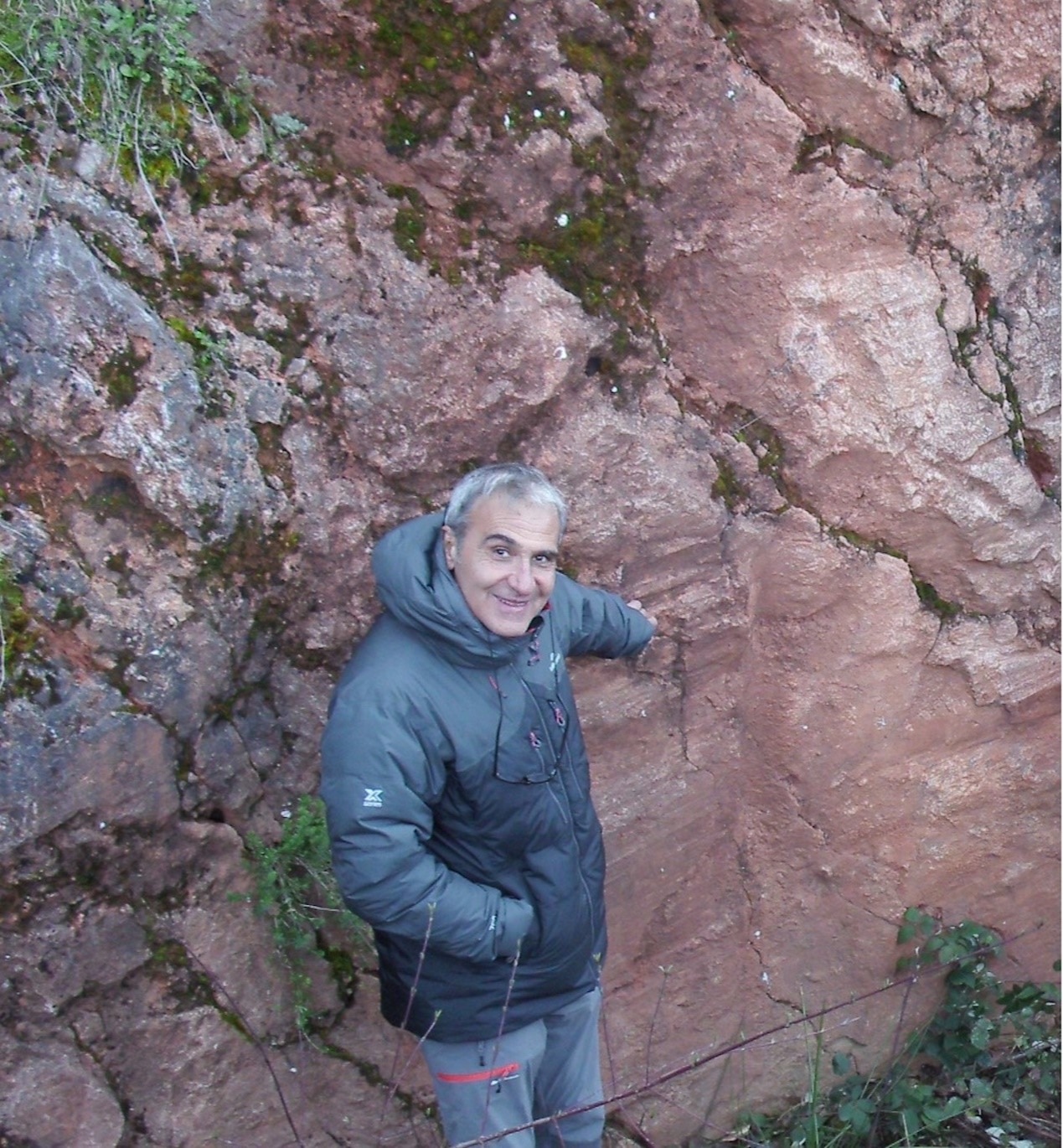 星空app官网创新论坛第一千九百八十九讲：Isotopic Dating and Geochemical Tracing of Fault Rocks: Insights into Plate Evolution and Seismicity