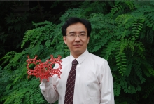 星空app官网创新论坛第一千二百七十三讲暨120周年校庆年系列活动： Unexpected slow diffusion in hierarchical porous materials with combined surface and configurational diffusion   