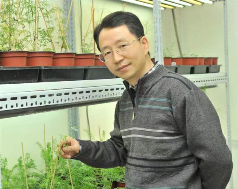 星空app官网创新论坛第一千二百六十八讲暨120周年校庆年系列活动：复杂花瓣的发育与进化