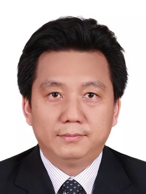 星空app官网创新论坛第一千零五十二讲： 有机染料—功能化及稳定性强化