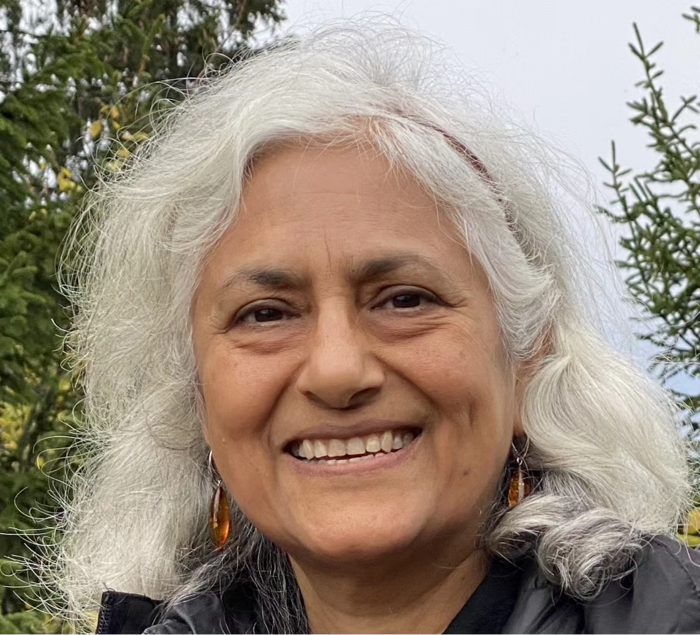 星空app官网创新论坛第一千七百三十九讲：Fractionalized excitations in Quantum Spin Liquids and their Detection