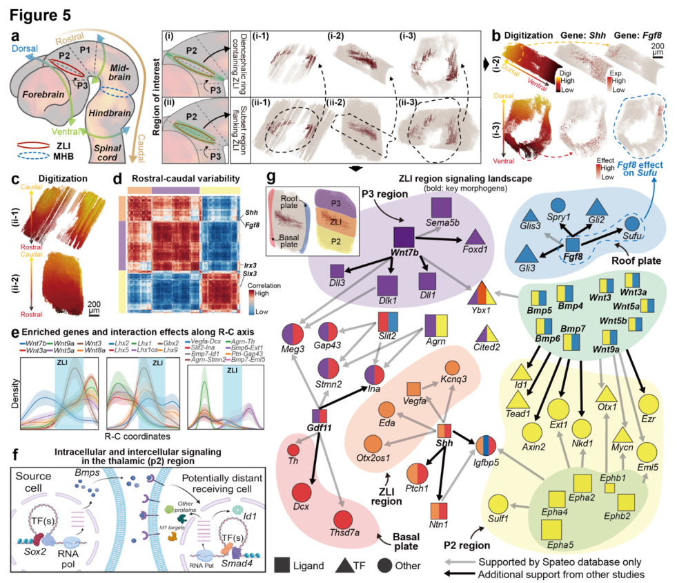 20241112164523656-49-ee277.png 20241112164523656-49-ee277.png