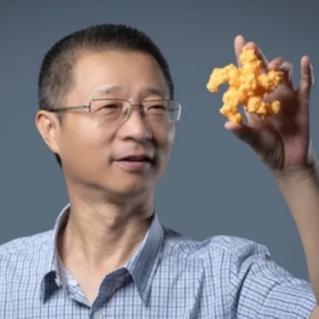 星空app官网创新论坛第一千六百二十六讲：植物的免疫机制